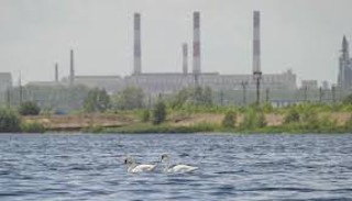 Расчет платы за негативное воздействие на окружающую среду от 20246 руб. | ПромМир-Стд