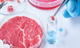 Лабораторный анализ пищевых продуктов по СанПиН в Устях-Джегуте в октябре